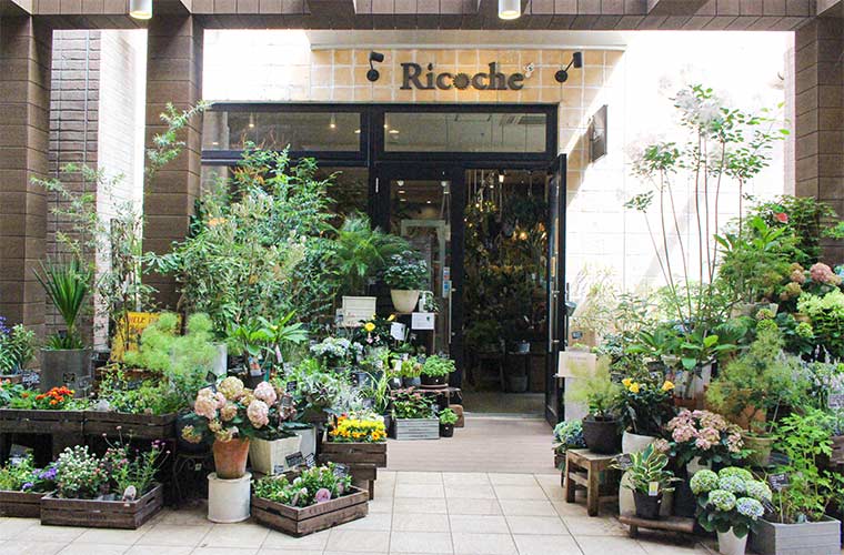 【垂水】花と緑と雑貨の店「Ricoche+」植物やガーデニング用品が豊富！ナチュラル雑貨も